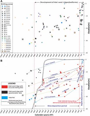 Sedimentology and evolution of the Holocene radial tidal sand ridge in the south Yellow Sea, China
